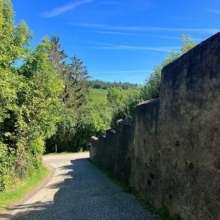 Romantikurlaub Im Weindorf Kiedrich Exterior photo