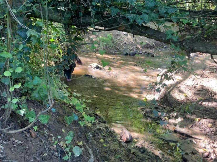 Romantikurlaub Im Weindorf